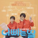 도연결혼정보