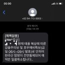 애월 하루 이미지