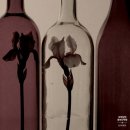 IRIS.C 아이리스.씨 | 향기 좋은 바디워시 추천, 온틈 아이리스 문 21 사용 후기(내돈내산)