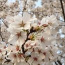 봄날세탁 이미지