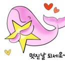 오닉스네일 이미지