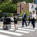 구성파출소 앞 횡단보도 이미지