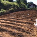 범수네농장 이미지