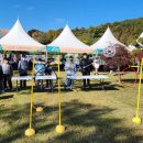 꿈의 비행 이미지