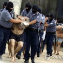 라그라피카 이미지