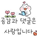 하얀나라세탁소 이미지