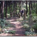 장성수산 이미지