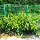 용천농장낚시터 이미지