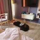 모산도굴수산 | 아기다리고기다리(보령 천북 굴단지)