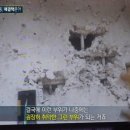 다빈하우스