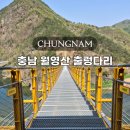 원골쉼터 | 월영산 출렁다리 충남 대전 근교 가볼만한곳 등산코스 주차 정보