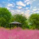 상암동 가을 명소 "하늘공원" 알아보기 이미지