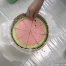 데이지라이프 휘트니스 | 7월엔 무엇을 하였나