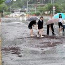 진해신항중학교