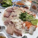 신안수산