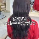 하나마트(청당점) | 청당동미용실 하요룸헤어 청당법원점 톤다운염색 애쉬카키브라운 후기