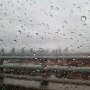 (공연) 바이올리니스트 김응수&코리안챔버오케스트라 | 결혼기념일 맞이 공연관람 바이올리니스트 김응수&amp;코리안챔버오케스트라 in 세종 예술의 전당