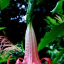 엔젤뷰티 이미지