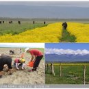 김영석농장 이미지