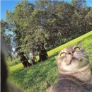 이화파크 이미지