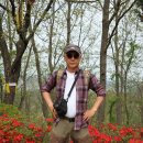 용화산둘레길 | [함안] 용화산(龍華山·193.2ｍ) 산행후기---2024년 4월 9일(화)