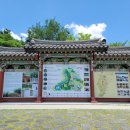 경남함양이은349 | 6월 여행지 추천, 경남 함양 가볼만한 곳 상림공원 산책 후기