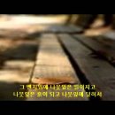 가수 박인희 와 수녀 이혜인 이미지