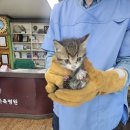 정선가슬비농원