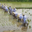 (주)두레 이미지