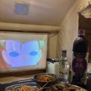 드루와펜션 | [서귀포 숙소]도프앙 캠핑 내 돈 내산 솔직한 후기 드루와