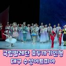 윈터페스티벌 - 크리스마스 이브 콘서트 <다린의 크리스마스> | 수성아트피아 명품시리즈 11월 대구 발레공연 호두까기인형