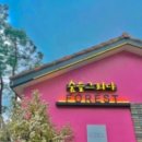 디저트포레스트 이미지