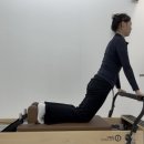 모던필라테스금천