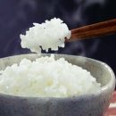 집밥 네이버블로그