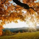 신길지구공인중개사사무소 이미지