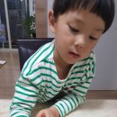 브리코교육 이미지