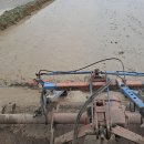 순흥농장 이미지