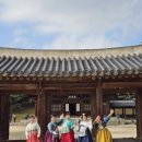 우정매향 이미지