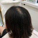 헤어증모하다