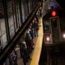PathoMap : NY 지하철 대피소 페스트, 탄저, 600 알 수없는 생물 이미지