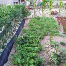 가덕농장 이미지