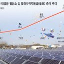 동원산업태양광발전소 이미지