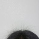 제일농약사2 이미지