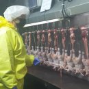 경기도 북부동물위생시험소 이미지