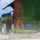 담쟁이보쌈집 | 🍱[경기광주맛집]광주의 숨은 맛집 농가보쌈, 솔직후기!