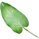 세피내길 이미지