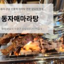 성남 신흥동 양꼬치 맛집 신흥역 동자매마라탕 양등심왕꼬치