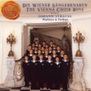 J. Strauss II: Unter Donner und Blitz 천둥과 번개 폴카 (합창 Ver.) 이미지