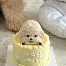 멍데이 이미지