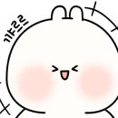 얼웨이즈스프링